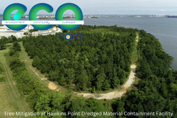 Hawkins Point Tree Mitigation