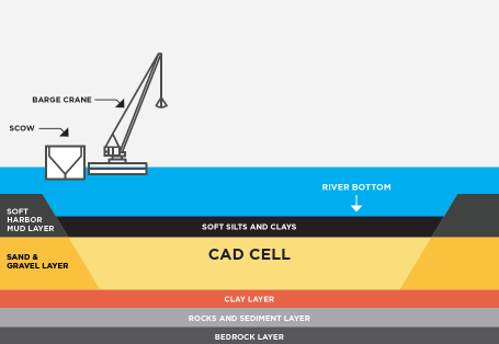 CAD Cell Infographic