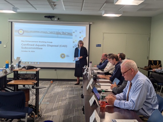 CAD Subcommittee Meeting