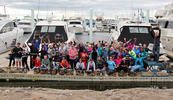 oyster spat planting