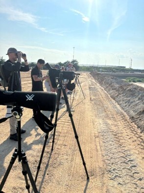 Piping Plover Bird Tour