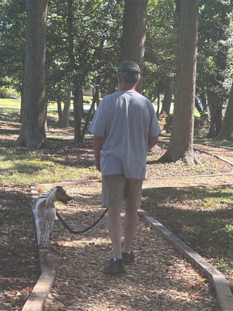 Donated timber now borders the Stoney Brook Condominium community walking trail.