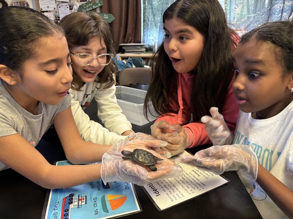 Rockland Woods TERP Program Presentation