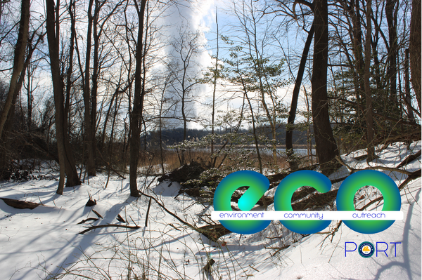 Swan Creek Nature Trail Site with Snow