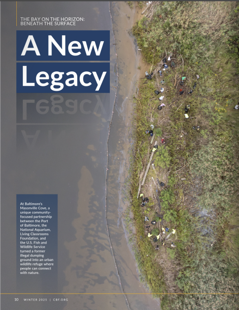 cover from the Chesapeake Bay Foundation "The New Legacy" article. 