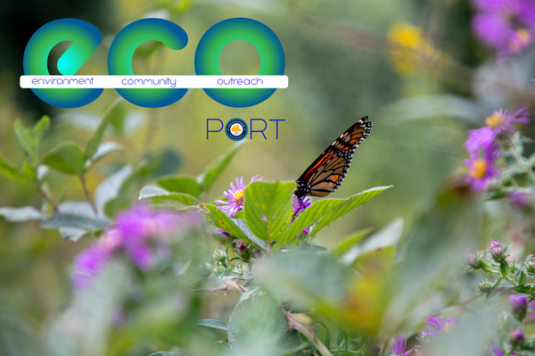 Image of a monarch butterfly on a bush with purple flowers. The ECOPort logo is displayed with the words Environment, Community, and Outreach
