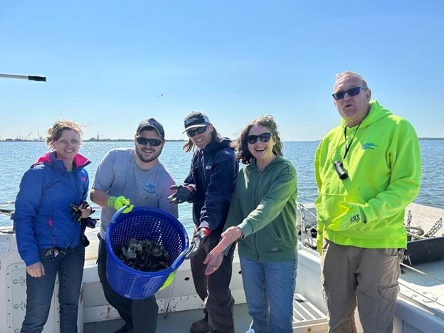 MPA and MES staff work together to plant oyster spat in the Patapsco River near historic Fort Carroll.