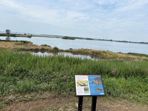Educational Displays at Hart-Miller Island