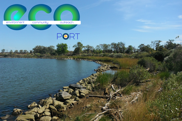 Image of shoreline along the Baltimore Harbor with the ECOPort Newsletter Logo