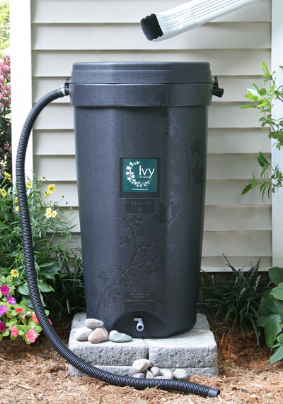 Rain Barrel