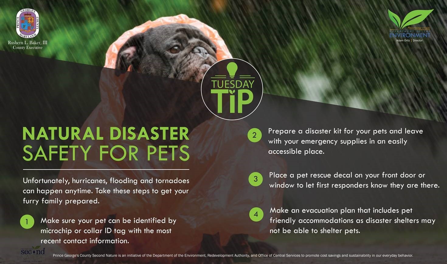 Tues Tip 6.19.18 Disaster safety pets