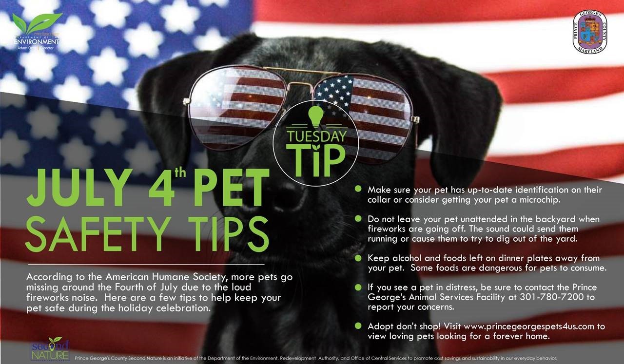 Tues Tip 7.3.18 4th pet safety