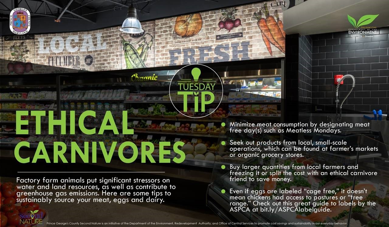 Tues Tip 7.24 ethical meat