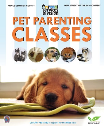 Pet parenting class 2019