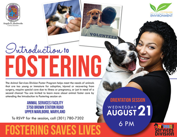 Pet foster class 8.21.19