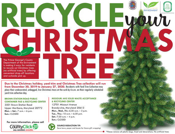 xmas tree recycling 2020
