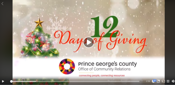 12 Days of Giving