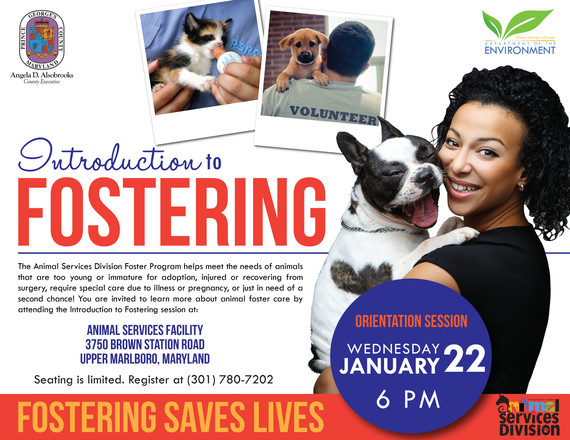 Foster Orientation flyer_1-22-20