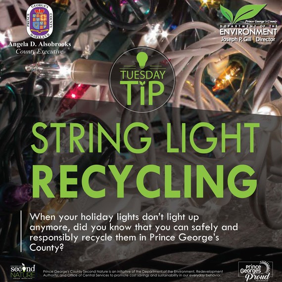 TT 1.14.20 string light recycling