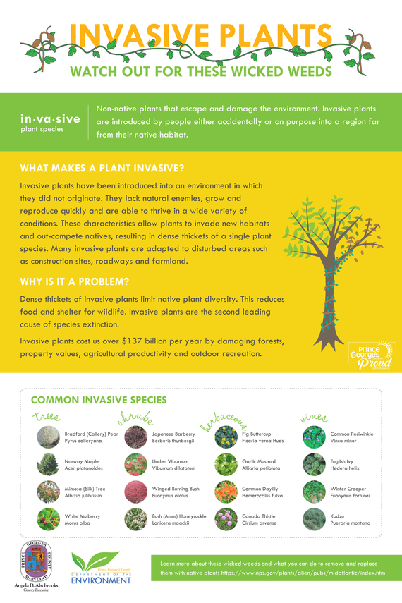 Invasives poster