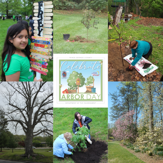 Arbor day collage 2020