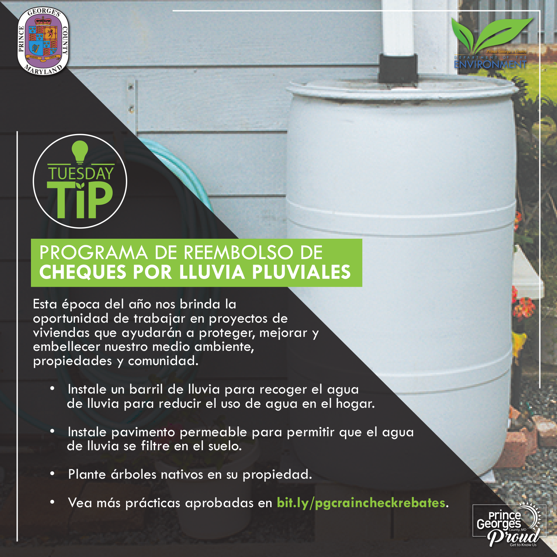 Tues Tip 8.10.20 RaincheckRebate sp