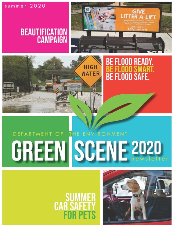 Green Scene Summer 2020 Newsletter 