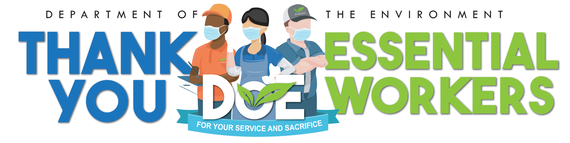 TY Essential workers