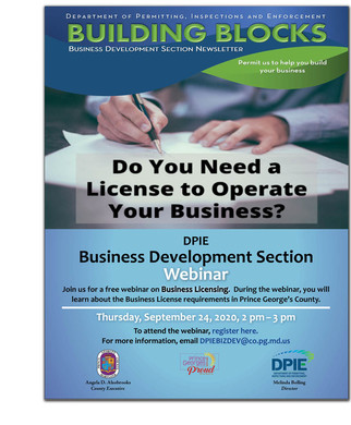 BDS webinar on business licensing