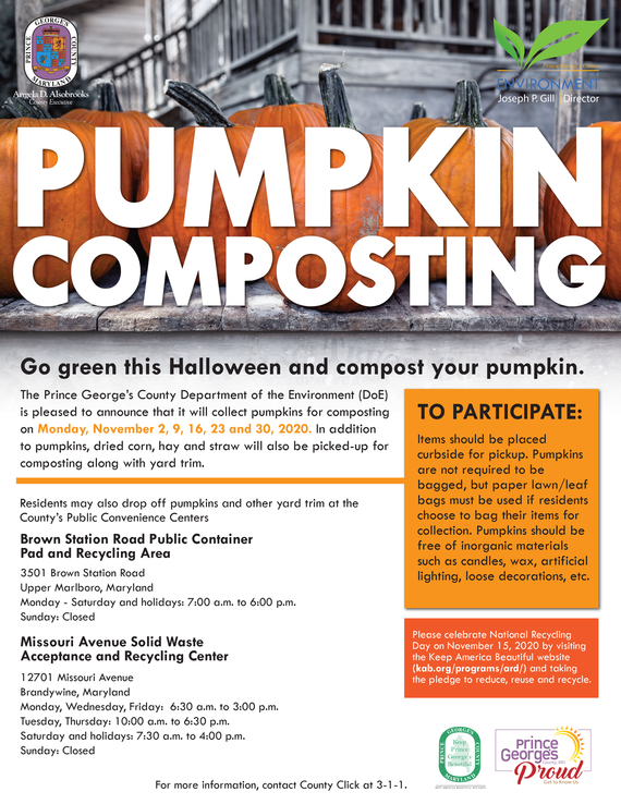 Pumpkin composting 2020
