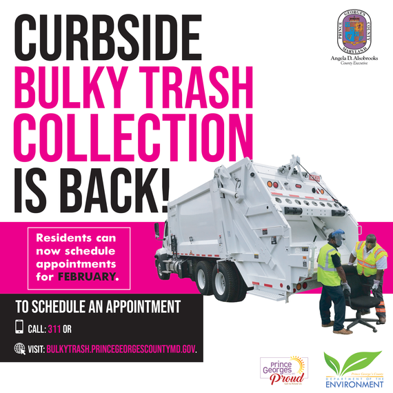 Bulky update 11.18.20 eng