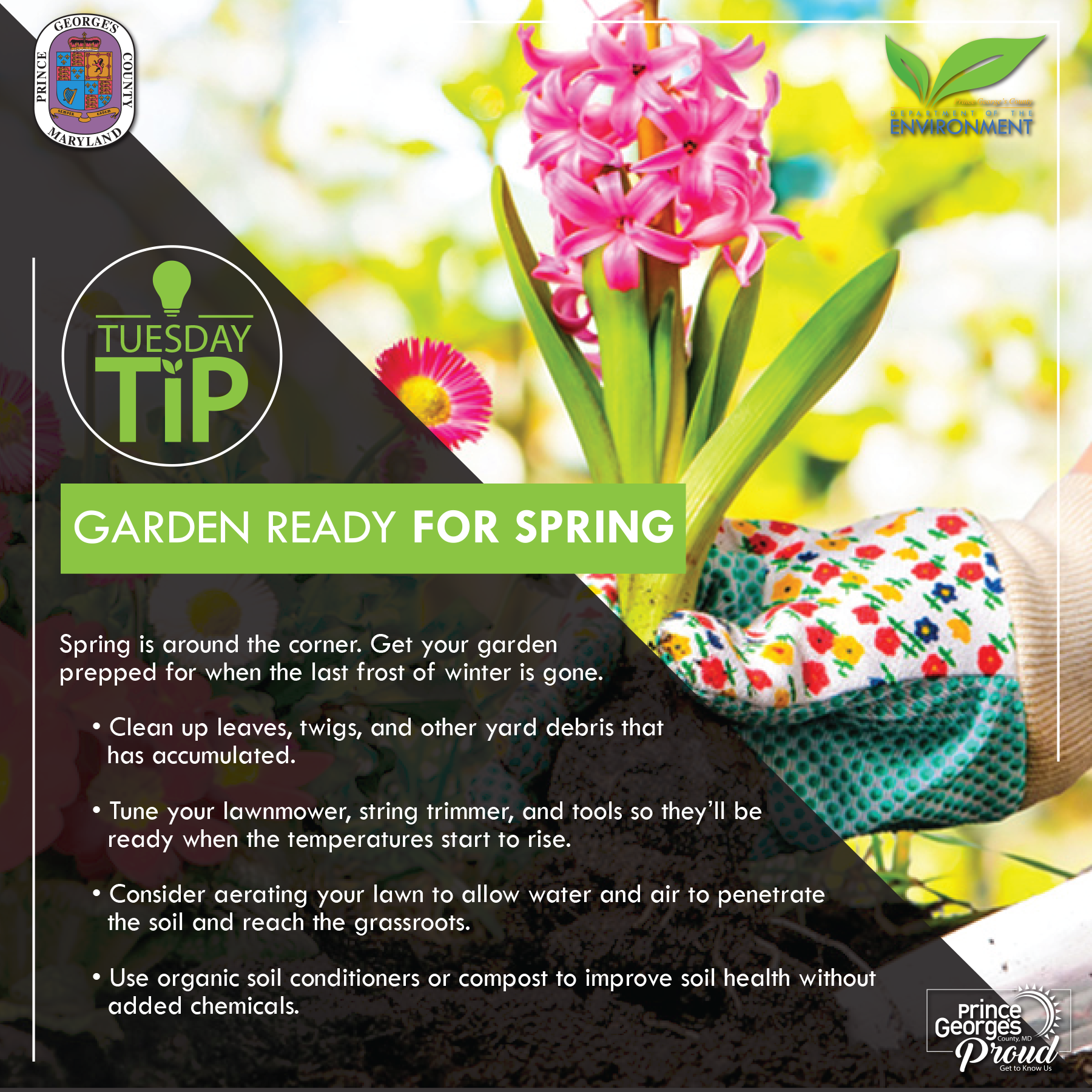 Tues Tip 3.2.21 Spring Garden eng