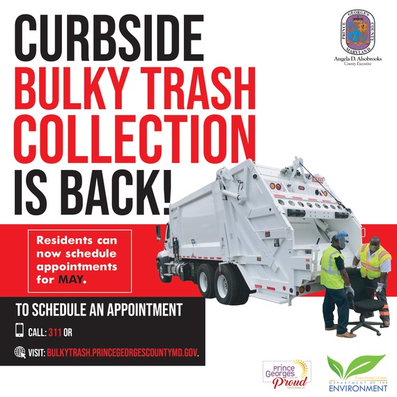 Bulky update 3.18.21 eng