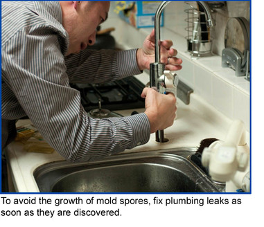 Plumber working on faucet. To avoid the growth of mold spores, fix plumbing leaks as soon as they are discovered.