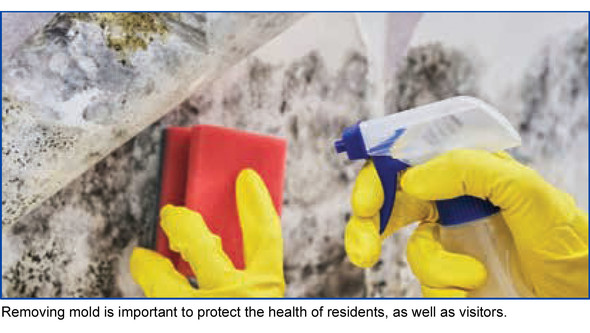 Cleaning mold of wall with sponge and spray, using rubber gloves. Removing mold is important to protect the health of residents, as well as visitors.