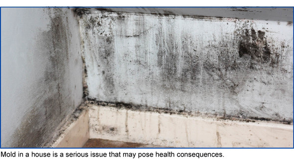 Room with black mold on walls. Mold in a house is a serious issue that may pose health consequences.
