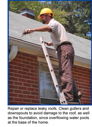 Man cleaning gutters. Repair or replace leaky roofs. Clean gutters and downspouts to avoid damage to the roof.