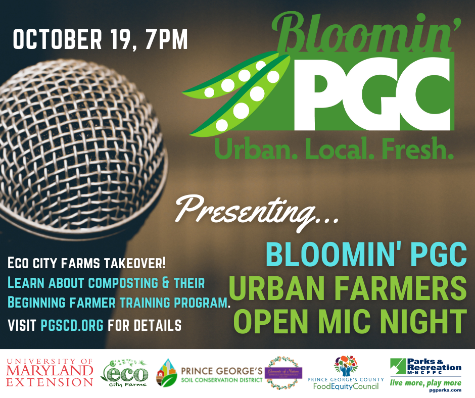 Bloomin Open Mic