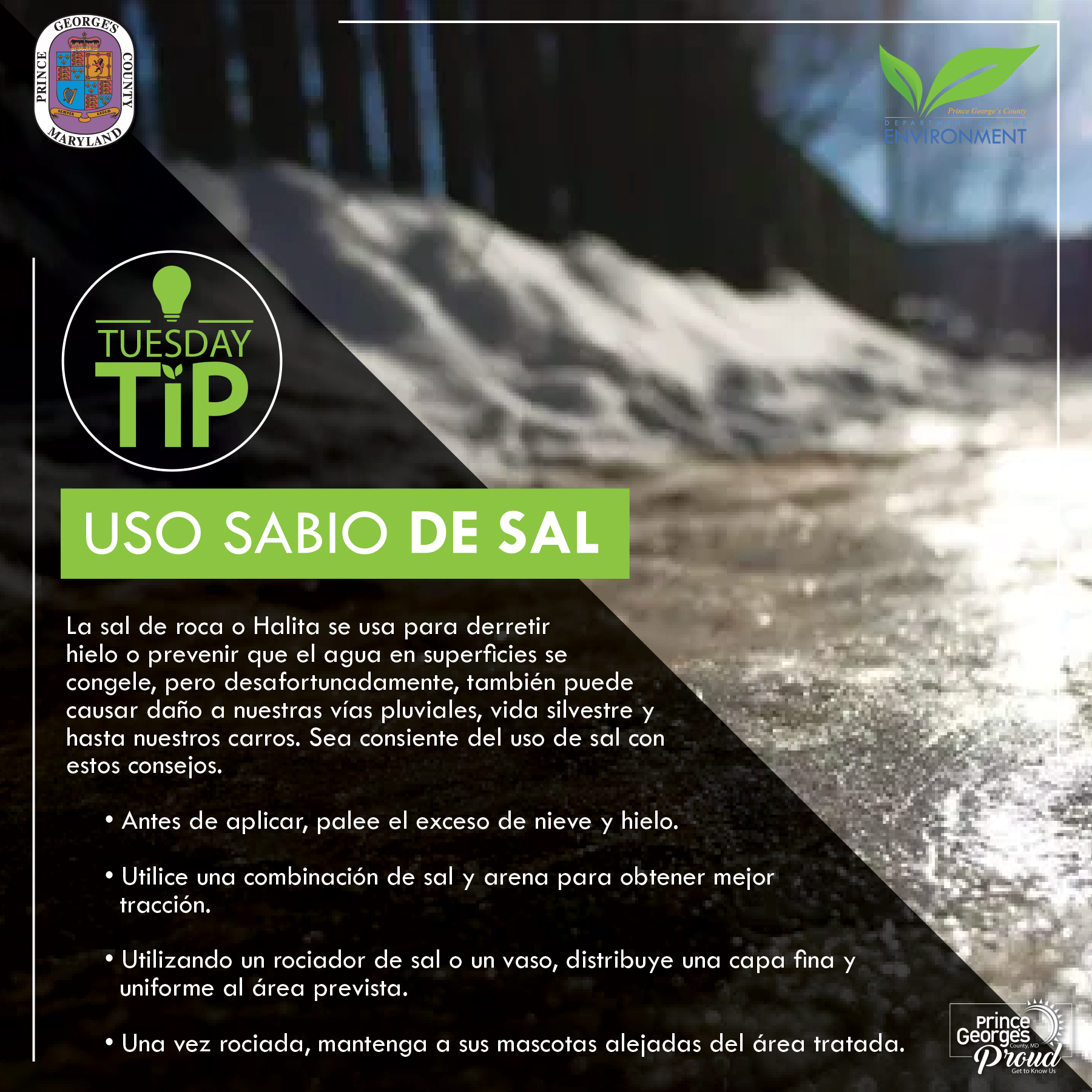 Tues tip 12.7.21 Salt use sp