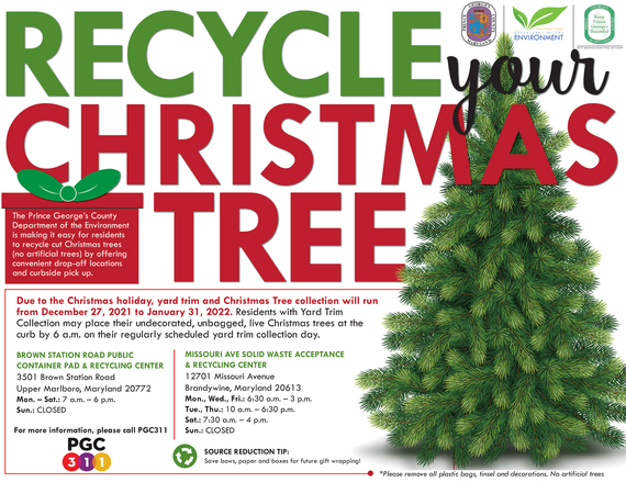 recycle-your-christmas-tree-flyer21