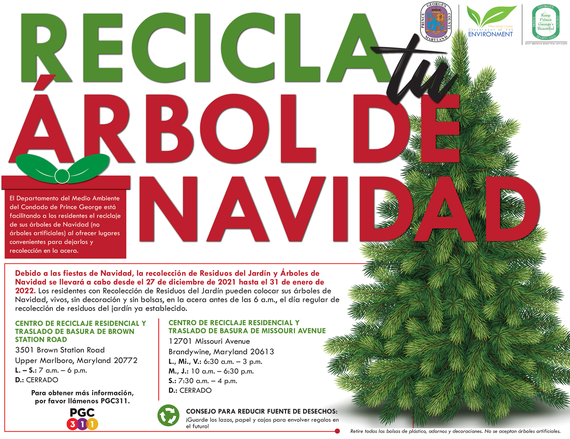 recycle-your-christmas-tree-flyer21sp