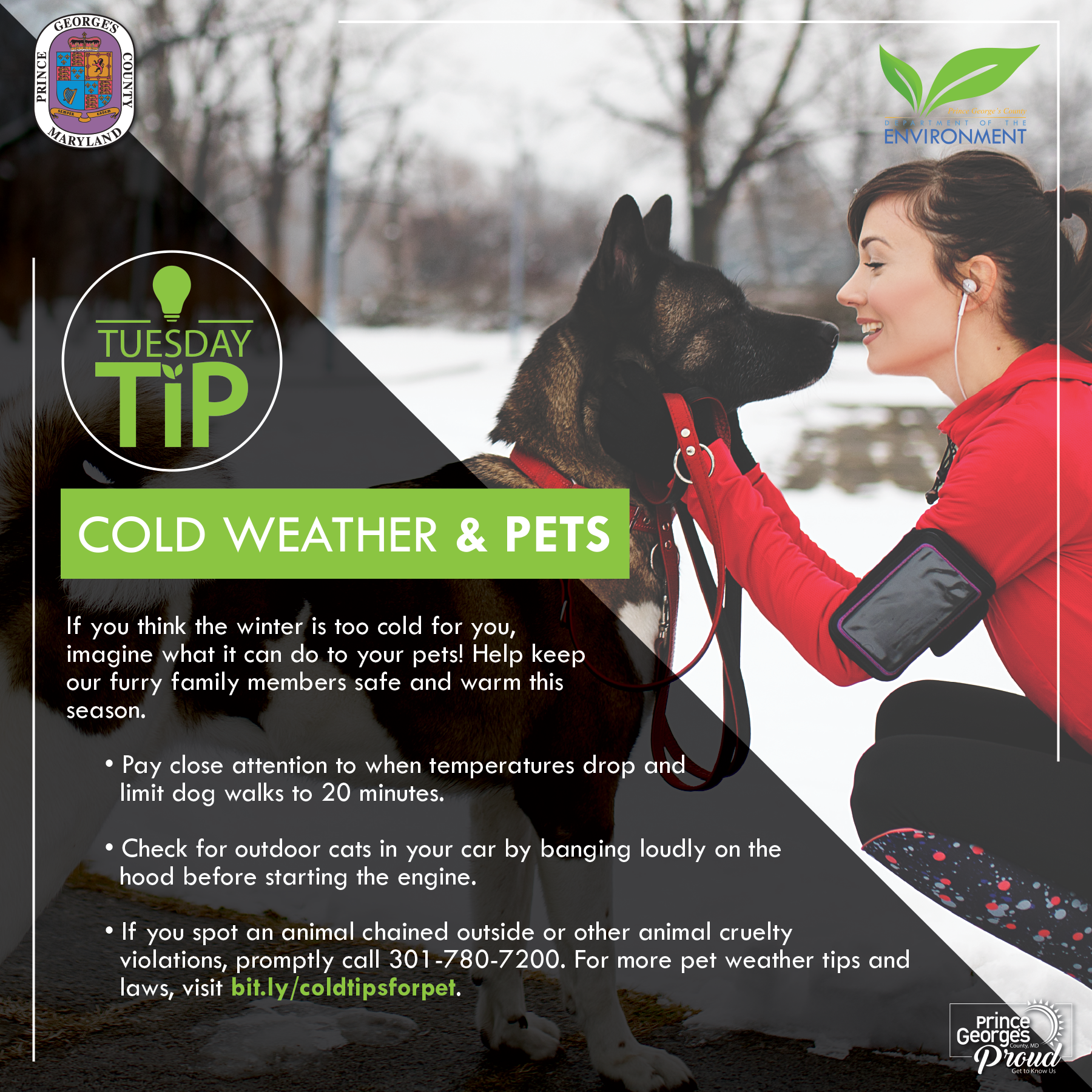 Tues tip 12.14.21 Cold weather pets eng