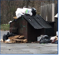 Overflowing dumpsters attract vermin
