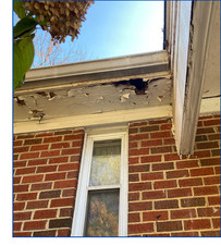 Wood under eaves is rotting