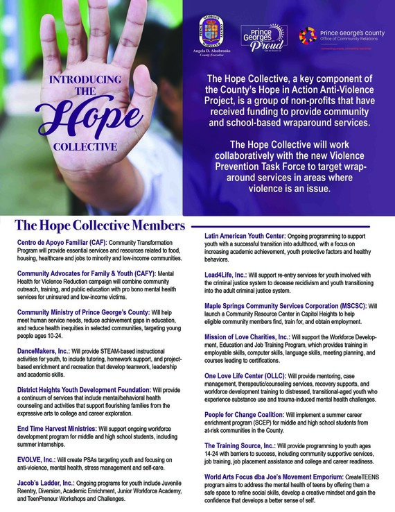 Hope Collective Infographic