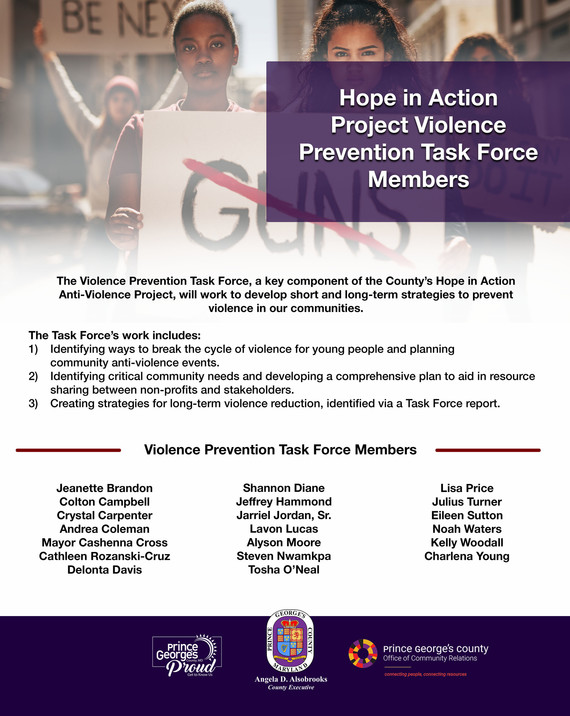 Violence Prevention Task Force Infographic