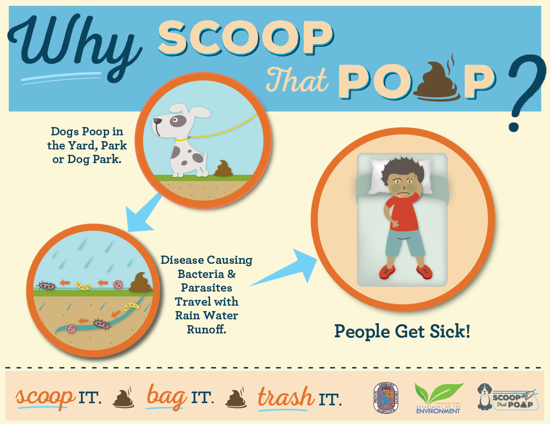 Why Scoop That Poop