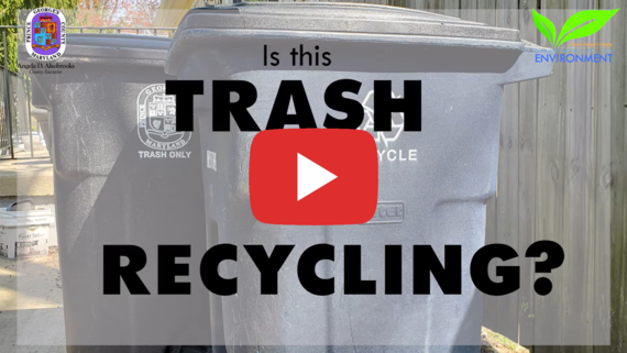 Trash or recycling video cover