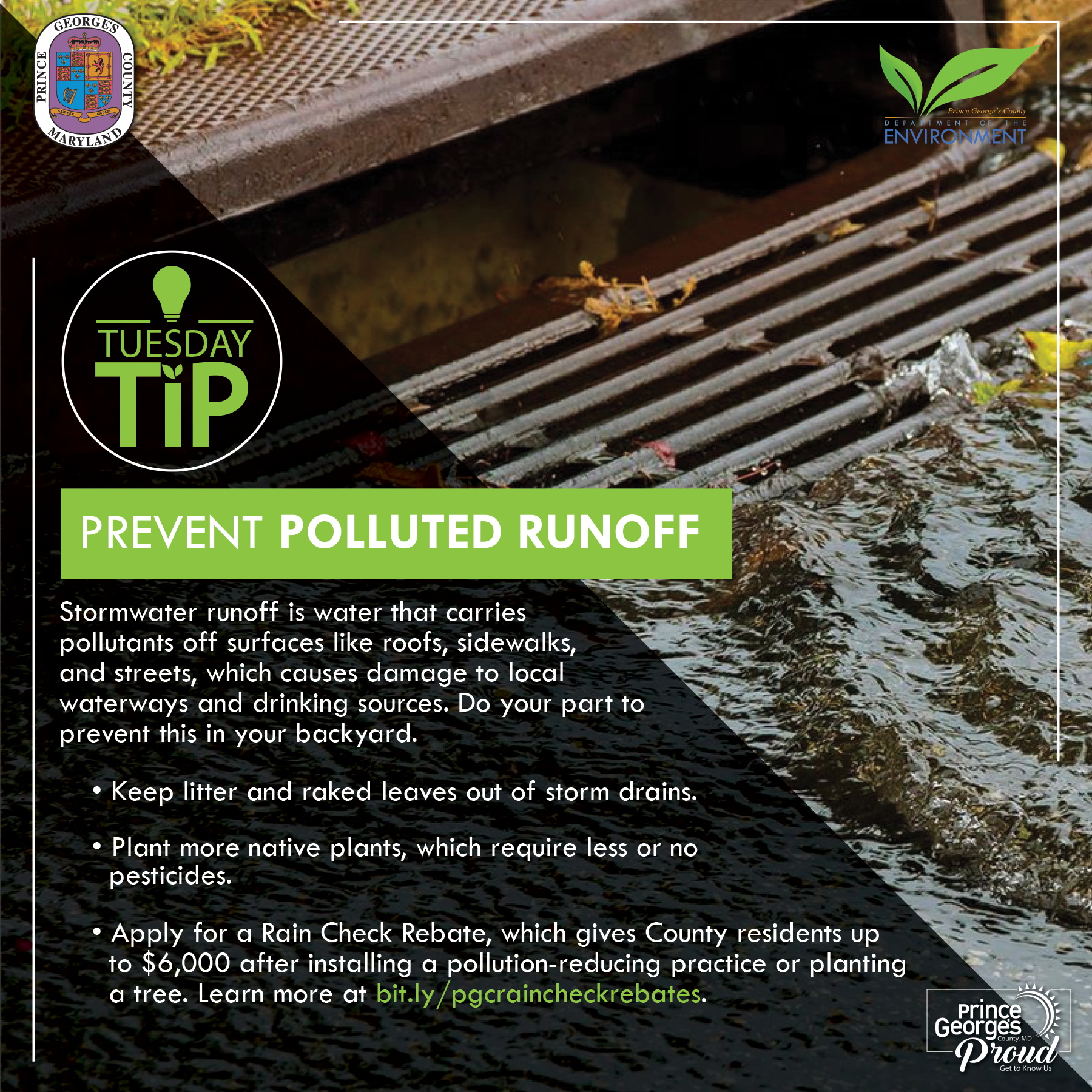 Tues tip 4.12.22 Polluted runoff eng