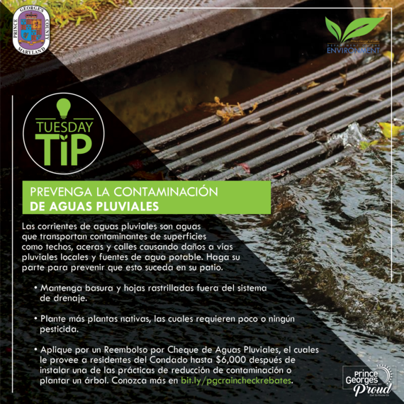 Tues tip 4.12.22 Polluted runoff spa